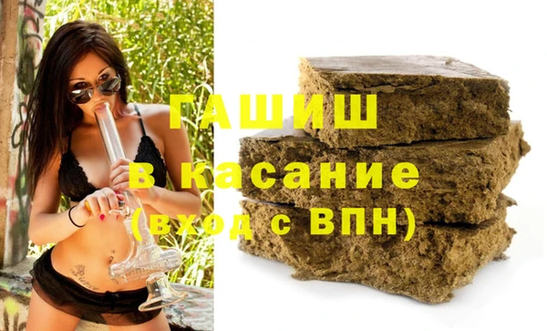 хмурый Алексин