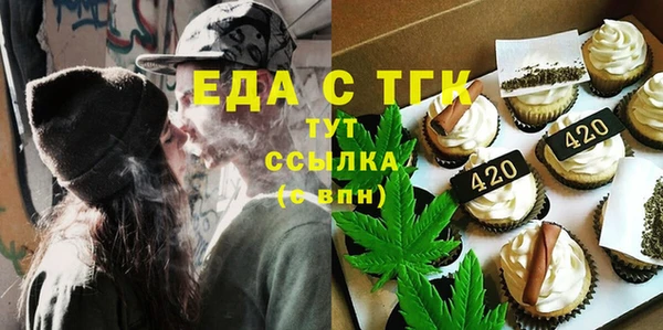 хмурый Алексин