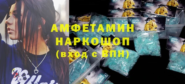 хмурый Алексин