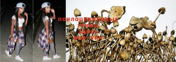 хмурый Алексин