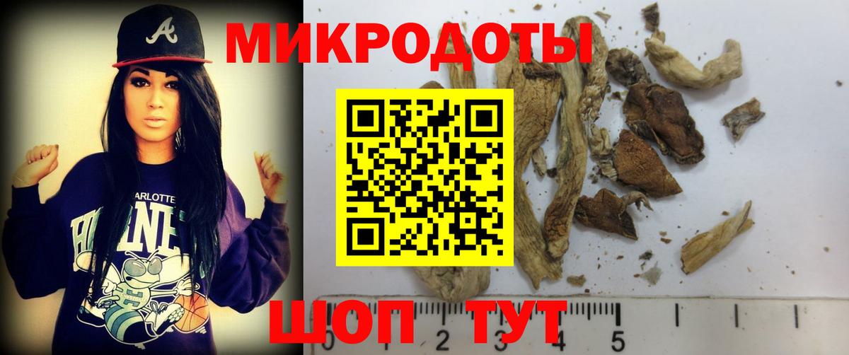 Галлюциногенные грибы Psilocybe Первоуральск